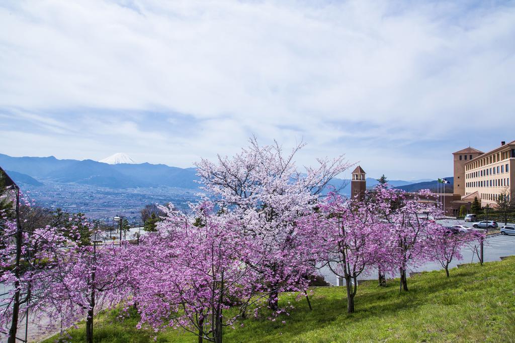 Fruit Park Fujiya 4*
