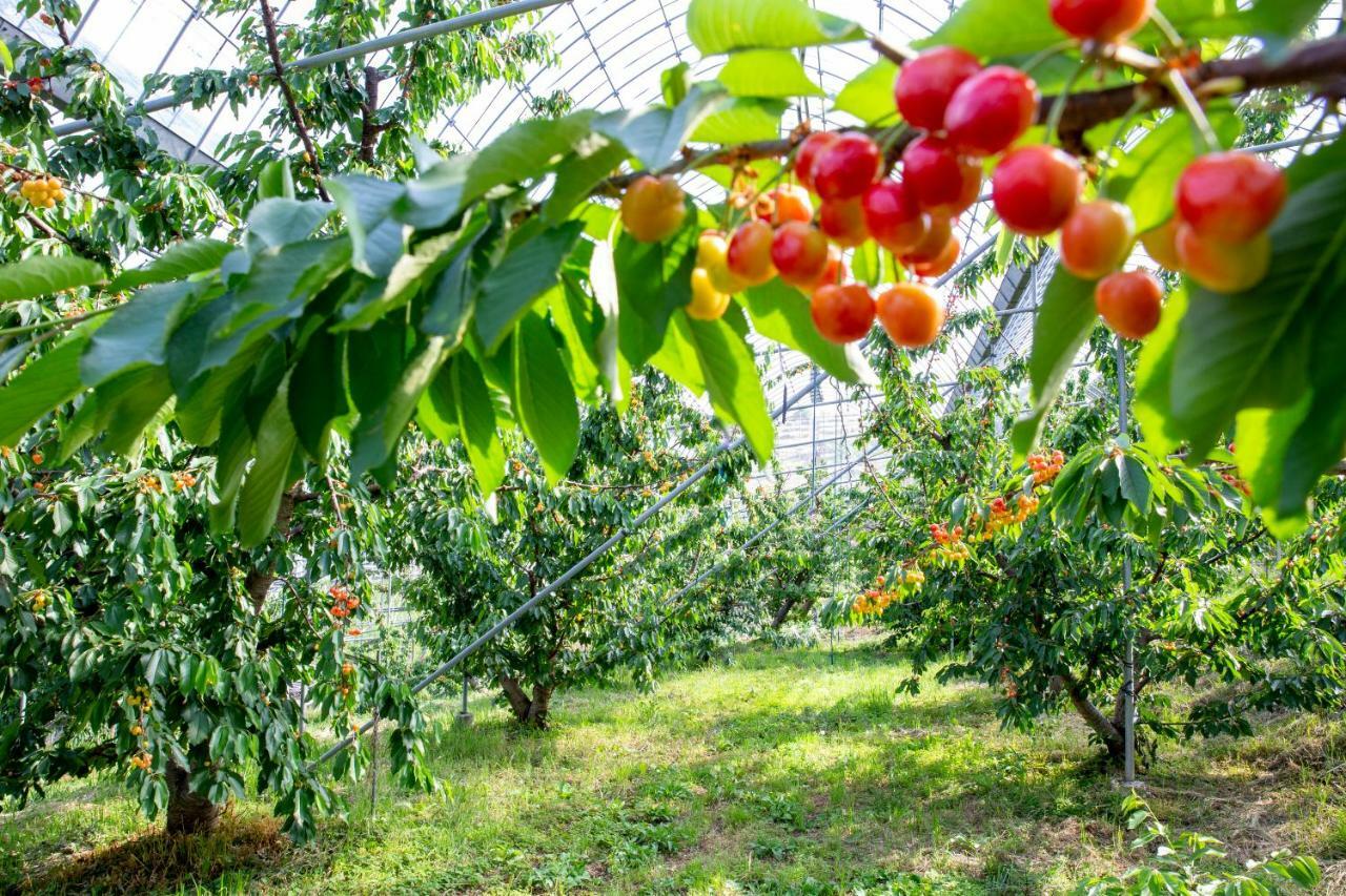 Fruit Park Fujiya Ryokan 4*